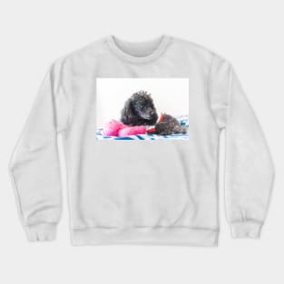 toy loves a toy Crewneck Sweatshirt